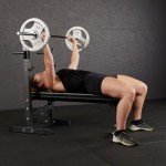 Mirafit Adjustable Weight Bench with Dip Station