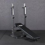 Mirafit Adjustable Weight Bench with Dip Station