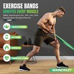 Adjustable Resistance Bands Set with Door Anchor & Handles