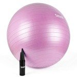 KOMODO 65cm Pink Exercise Ball for Fitness