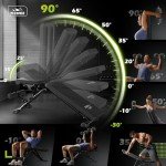 FLYBIRD Adjustable Weight Bench for Full-Body Workouts