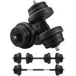Adjustable 2-in-1 Dumbbells Set for Home Fitness