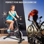 Indoor Cycling Exercise Bike with LCD Display & Tablet Holder