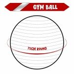 75cm Purple Anti-Burst Yoga and Exercise Ball