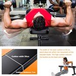 WINNOW Foldable Weight Bench for Home Workouts