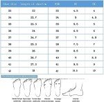 2-in-1 Sneaker and Roller Skate Shoes for All