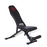 Adjustable Multi-Position Folding Dumbbell Bench