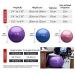 PROIRON Extra Thick Anti-Burst Exercise Ball with Pump