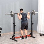 Adjustable Barbell Rack and Dip Stand for Home Gym