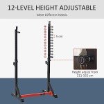 Adjustable Barbell Rack and Dip Stand for Home Gym