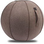 65 cm Yoga Ball Chair with Cover and Pump