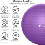 65cm Anti-Burst Gym Ball with Pump for Stability