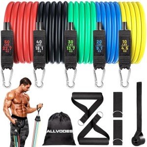 Resistance Band Set with Handles and Door Anchor