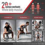 JOROTO Premium Adjustable Weight Bench for Home Workouts