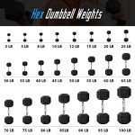 Balelinko 10 LBS Rubber Coated Dumbbell Set