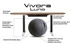 Vivora Luno Exercise Ball Chair for Home Fitness
