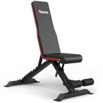 PASYOU Foldable Adjustable Weight Bench for Home Fitness