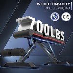 PASYOU Foldable Adjustable Weight Bench for Home Fitness