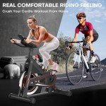 DMASUN Indoor Spin Bike with Tablet Holder