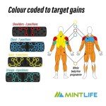 Mintlife Pushup Board + 30-Week Training Program