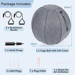 GYMAX 65cm Yoga Ball with Resistance Bands & Pump