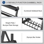 3-Tier Dumbbell and Weight Plate Rack Stand