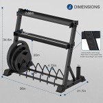 3-Tier Dumbbell and Weight Plate Rack Stand