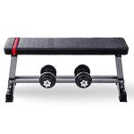 Lions Flat Weight Bench with Dumbbell Rack