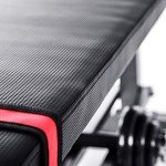 Lions Flat Weight Bench with Dumbbell Rack