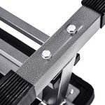 Lions Flat Weight Bench with Dumbbell Rack