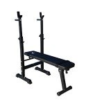 Adjustable Folding Sit-Up and Weight Bench