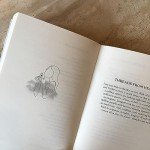 Wild Hope: Inspirational Home Fitness Guide