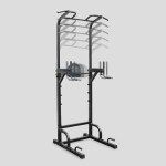 Phoenix Fitness Power Tower & Dip Station Set