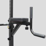 Phoenix Fitness Power Tower & Dip Station Set