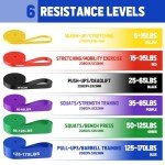 Fokky 6-Level Resistance Bands Set with Door Anchor