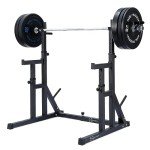 Adjustable Heavy Duty Squat Rack with Dip Bars