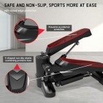 GOQELK Mini Stepper for Home Fitness Training