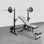 Adjustable Squat Rack with Dip Bars and Spotters