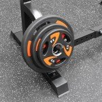 Adjustable Squat Rack with Dip Bars and Spotters