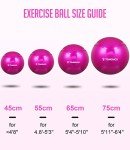 TOMSHOO Anti-Burst Exercise Yoga Ball with Pump