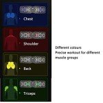 Foldable Push Up Board with Timer Counter