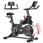 DMASUN Quiet Magnetic Exercise Bike for Home Gym
