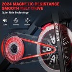 DMASUN Quiet Magnetic Exercise Bike for Home Gym