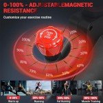 DMASUN Quiet Magnetic Exercise Bike for Home Gym