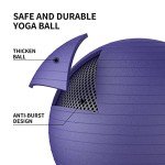 PROIRON Stability Ball with Pump for Core Training