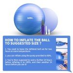 Umi Anti-Burst Exercise Ball with Pump for Fitness