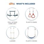 4-Piece Doorway Swing Set and Fitness Gear