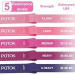 Potok Resistance Bands Set for All Fitness Levels
