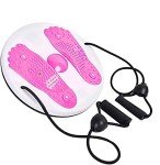 Multi-Functional Twist Waist Disc Balance Board