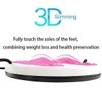 Multi-Functional Twist Waist Disc Balance Board